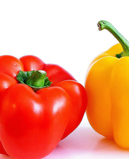 辣椒促进脂质代谢溶解脂肪