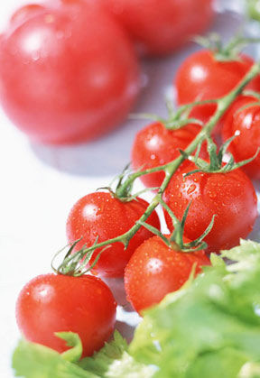 一天须摄取15毫克以上的番茄红素